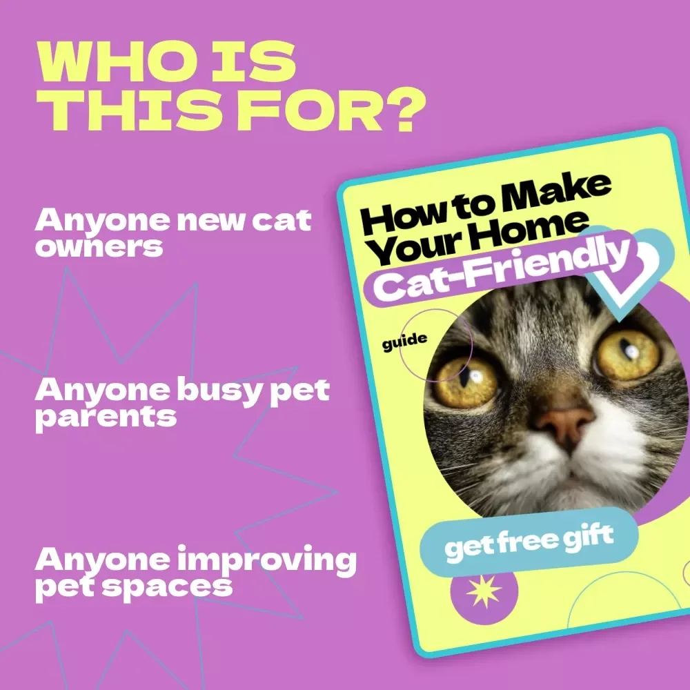 How to Make Your Home Cat-Friendly – Complete Guide on how to make home safe for cat | Cat Safety Checklist & Cozy Living Tips