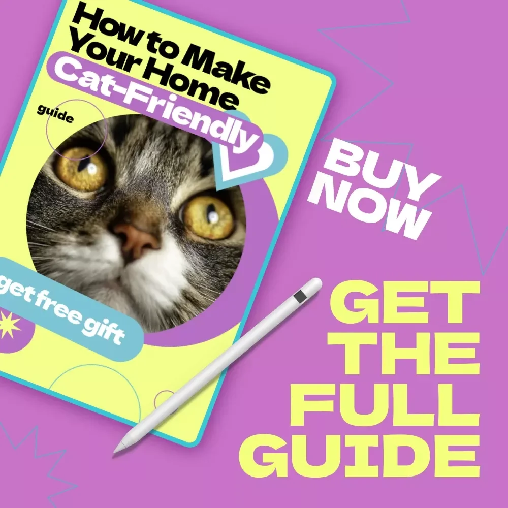 How to Make Your Home Cat-Friendly – Complete Guide on how to make home safe for cat | Cat Safety Checklist & Cozy Living Tips