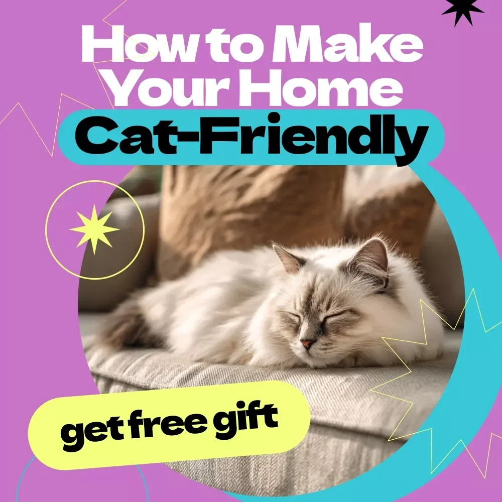 How to Make Your Home Cat-Friendly – Complete Guide on how to make home safe for cat | Cat Safety Checklist & Cozy Living Tips