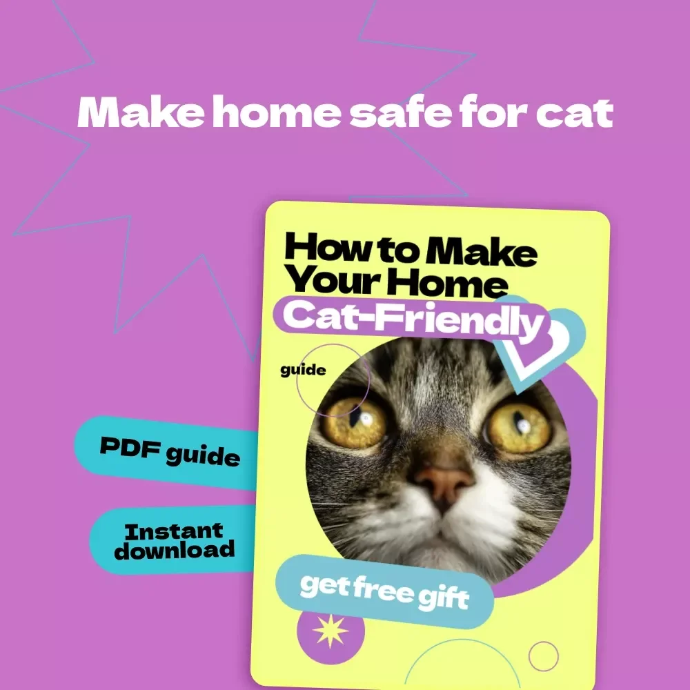 How to Make Your Home Cat-Friendly – Complete Guide on how to make home safe for cat | Cat Safety Checklist & Cozy Living Tips