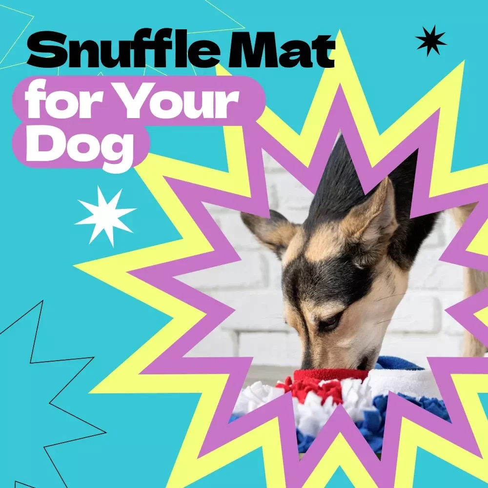 Making a Snuffle Mat for Your Dog | DIY Guide on how to make snuffle mat for dog enrichment | Easy Step-by-Step Dog Enrichment eBook