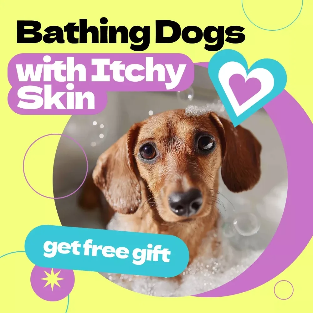 Bathing Dogs with Itchy Skin – Complete Guide on how to bathe dog with itchy skin, Calm Bath Routine, Skin Care Checklist for Sensitive Dogs