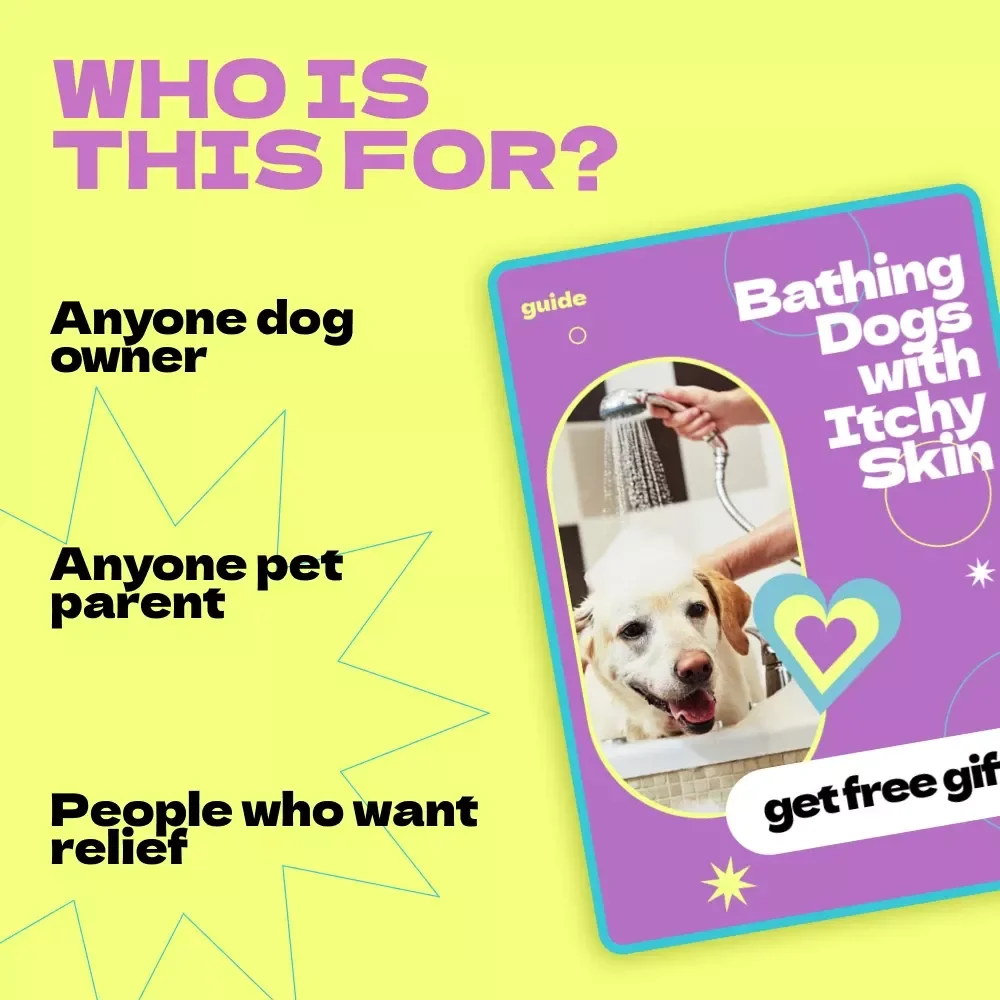 Bathing Dogs with Itchy Skin – Complete Guide on how to bathe dog with itchy skin, Calm Bath Routine, Skin Care Checklist for Sensitive Dogs