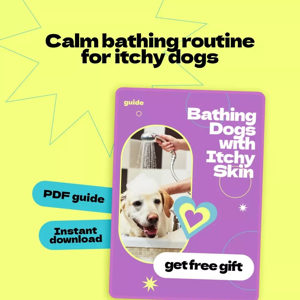 Bathing Dogs with Itchy Skin – Complete Guide on how to bathe dog with itchy skin, Calm Bath Routine, Skin Care Checklist for Sensitive Dogs