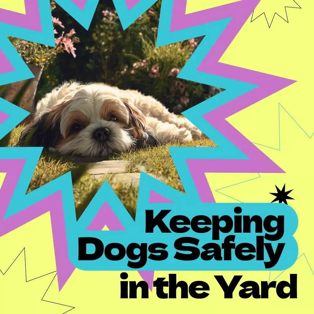 Keeping Dogs Safely in the Yard – Checklist Guide for Pet Owners | How to Keep Dog from Escaping Yard, Fence Safety, Training & Smart Monitoring Tips