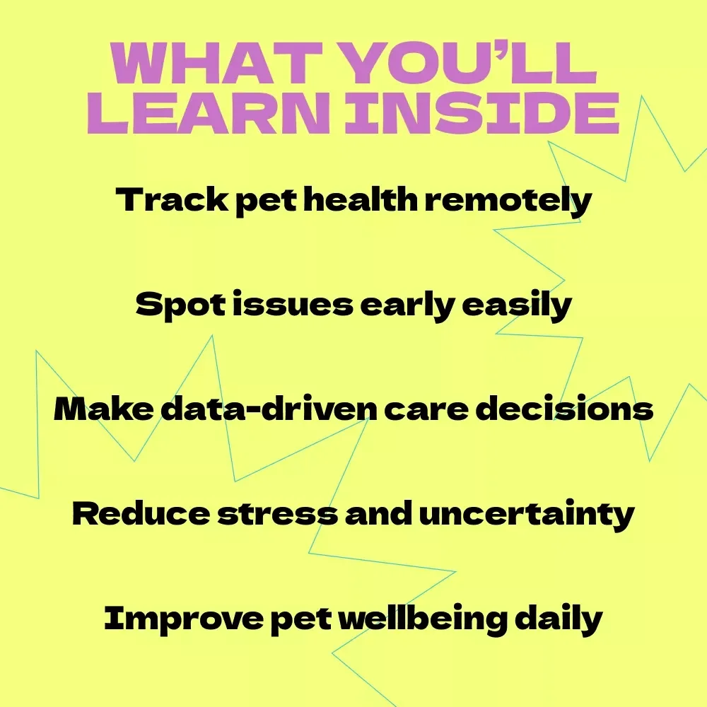 Using AI to Monitor Your Pet’s Health from Anywhere | AI Tools to Monitor Pet Health Remotely eBook Guide for Smart Pet Owners