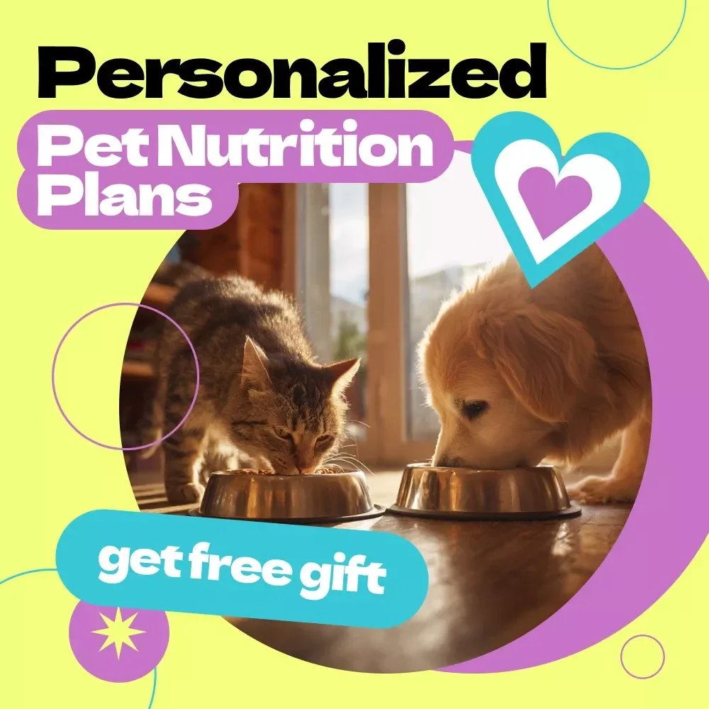How AI is Revolutionizing Personalized Pet Nutrition – AI for Personalized Pet Nutrition Plans eBook Guide for Smarter Feeding, Health Optimization & Custom Diet Strategies