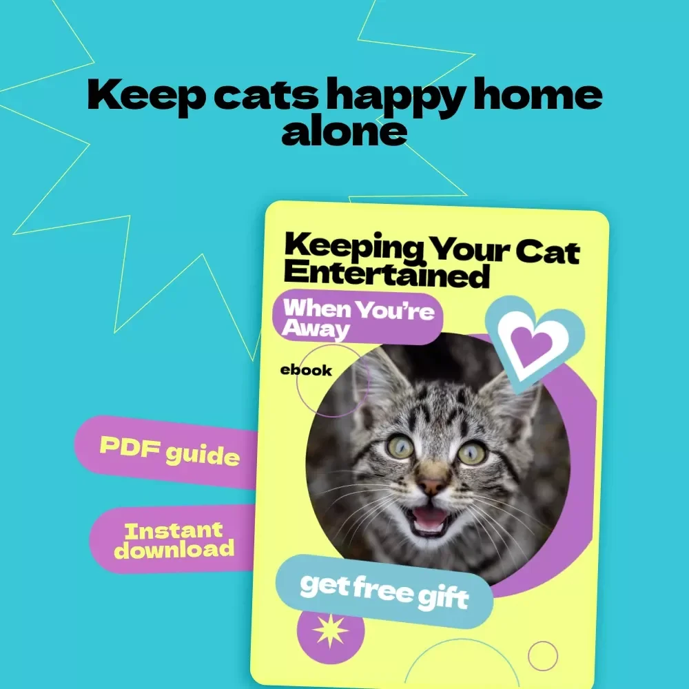Keeping Your Cat Entertained When You’re Away – A Complete Guide on how to entertain cat when home alone | Cat Enrichment eBook for Happy, Stimulated Indoor Cats