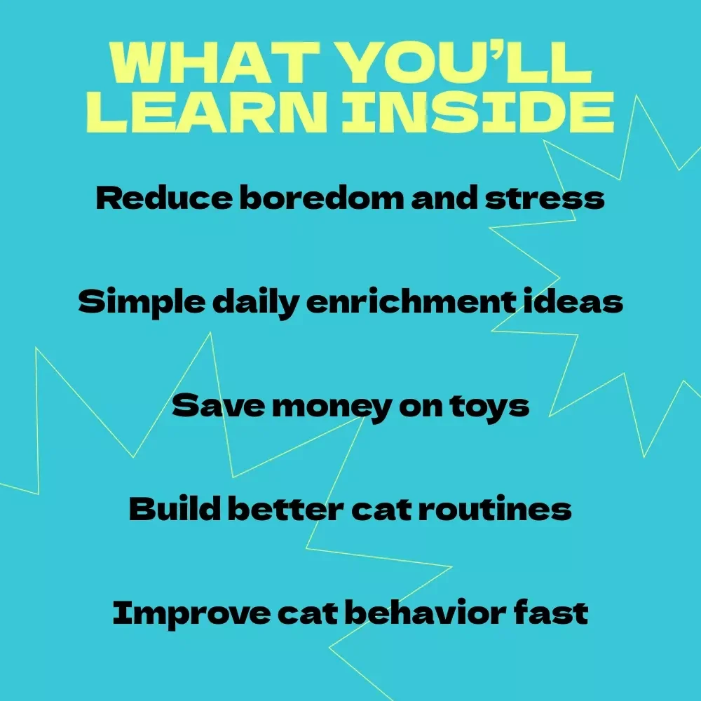 Keeping Your Cat Entertained When You’re Away – A Complete Guide on how to entertain cat when home alone | Cat Enrichment eBook for Happy, Stimulated Indoor Cats