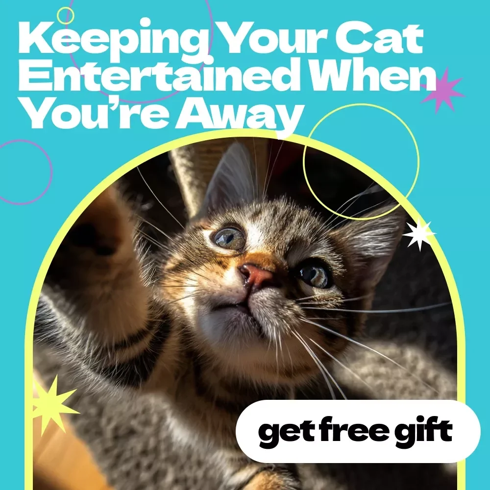 Keeping Your Cat Entertained When You’re Away – A Complete Guide on how to entertain cat when home alone | Cat Enrichment eBook for Happy, Stimulated Indoor Cats
