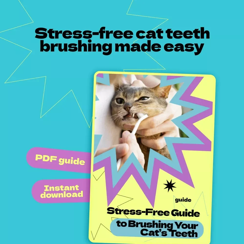 Stress-Free Guide to Brushing Your Cat’s Teeth – A Calm & Easy Routine for Pet Owners | how to brush cat teeth without stress eBook & Checklist