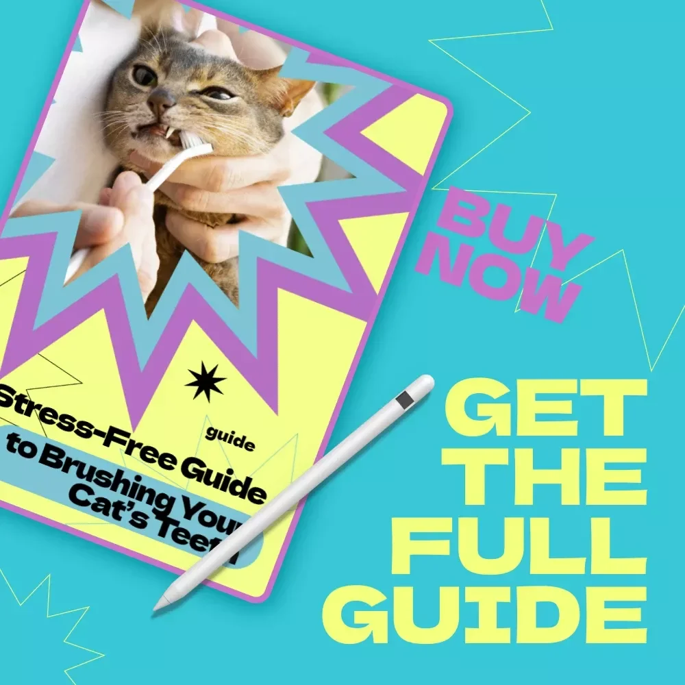 Stress-Free Guide to Brushing Your Cat’s Teeth – A Calm & Easy Routine for Pet Owners | how to brush cat teeth without stress eBook & Checklist