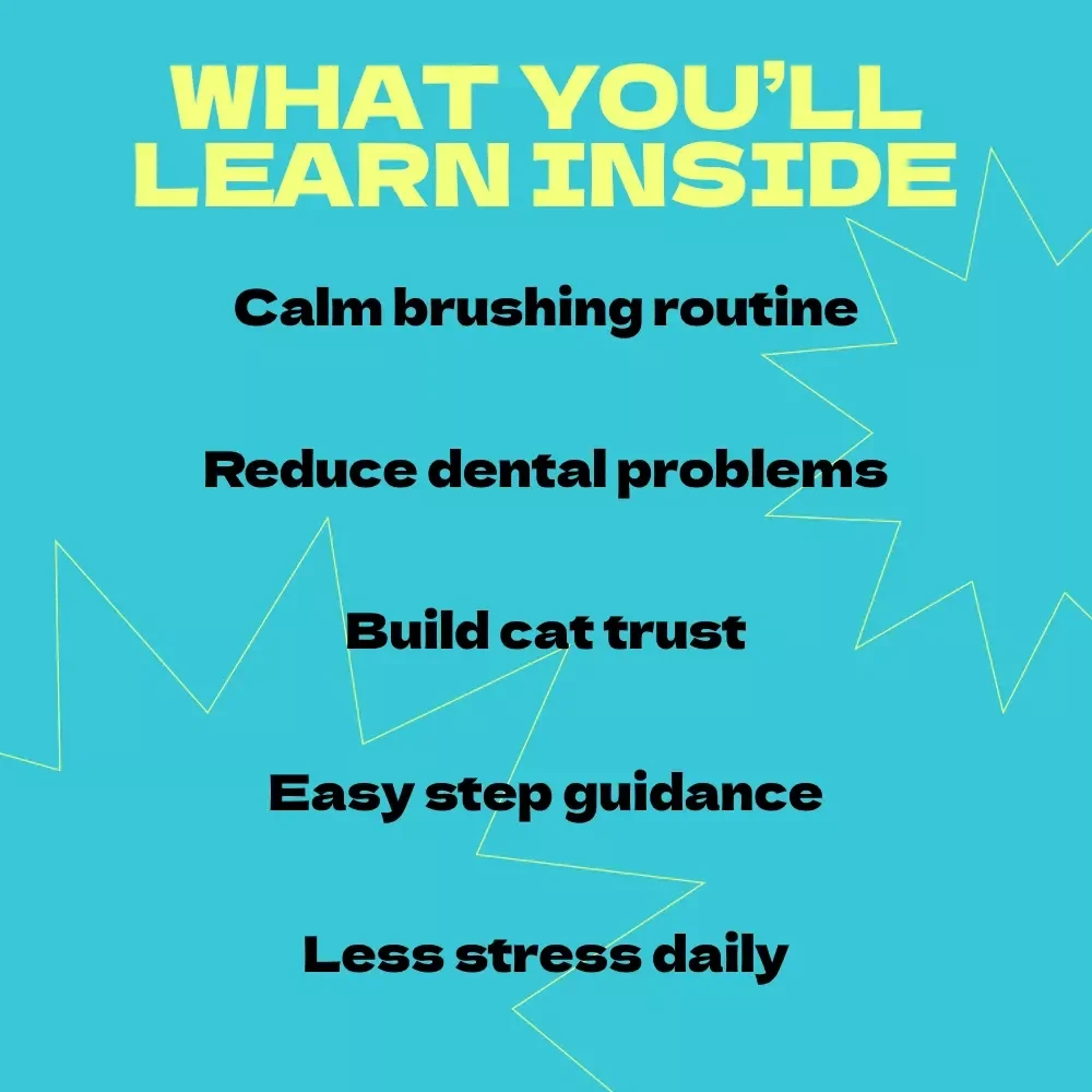 Stress-Free Guide to Brushing Your Cat’s Teeth – A Calm & Easy Routine for Pet Owners | how to brush cat teeth without stress eBook & Checklist