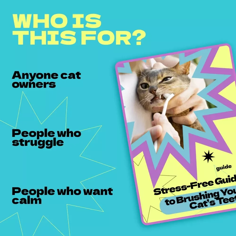 Stress-Free Guide to Brushing Your Cat’s Teeth – A Calm & Easy Routine for Pet Owners | how to brush cat teeth without stress eBook & Checklist