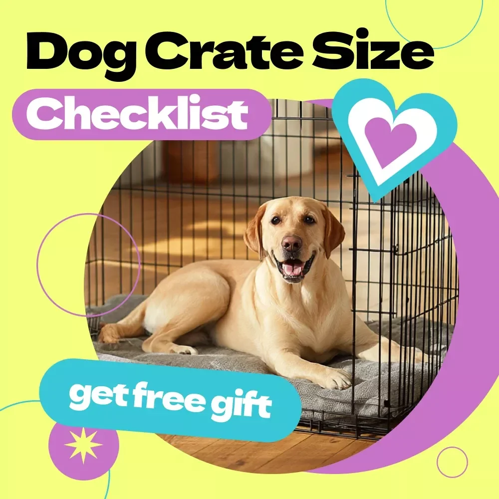 Dog Crate Size Checklist – How to Choose Dog Crate Size Guide for Perfect Fit, Puppy Growth Planning & Comfortable Crate Training