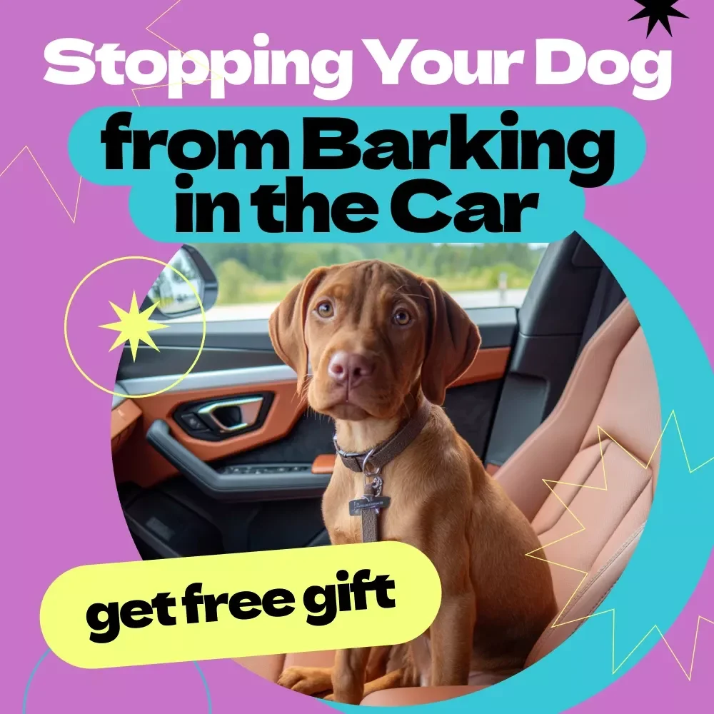 Stopping Your Dog from Barking in the Car – Complete Training Guide for Pet Owners | how to stop dog from barking in car eBook, Calm Travel Checklist, Positive Reinforcement Guide