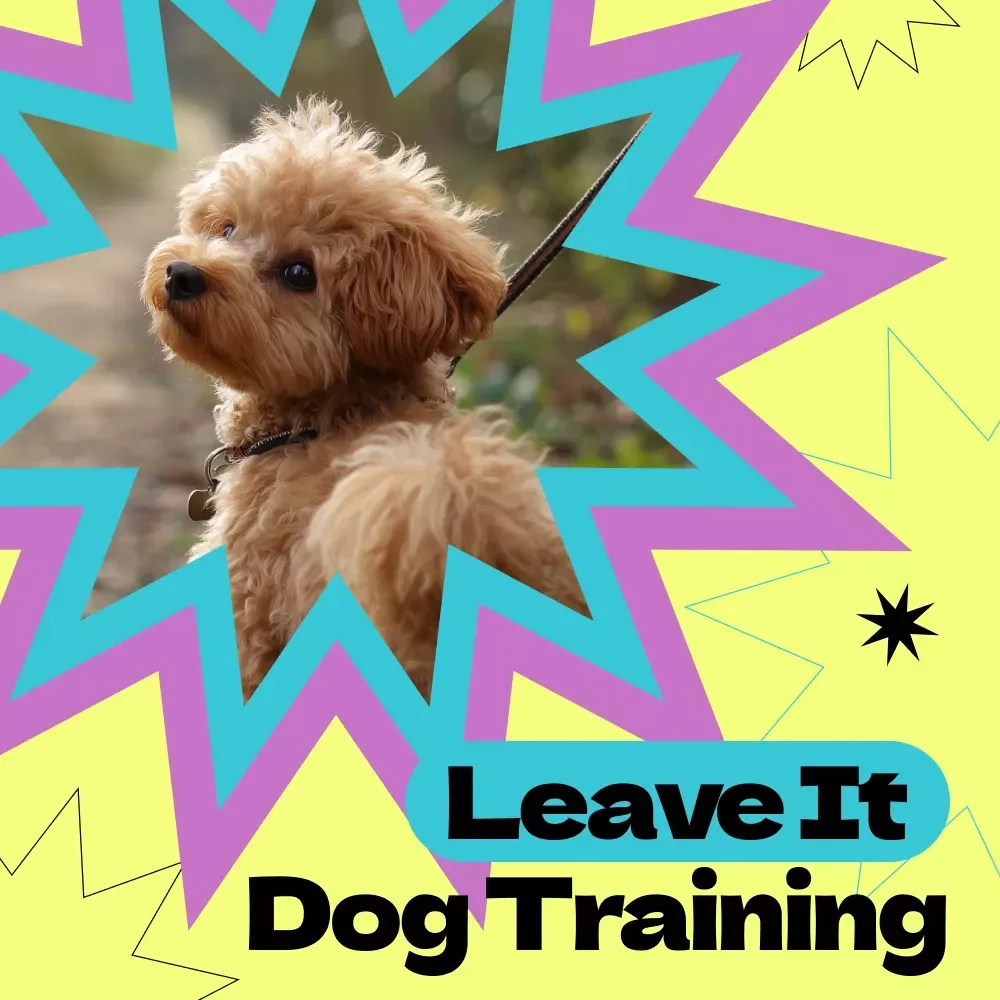 Leave It Dog Training Checklist – How to Teach Dog to Leave It Fast & Effectively, Printable Puppy Training Guide, Positive Reinforcement Tool