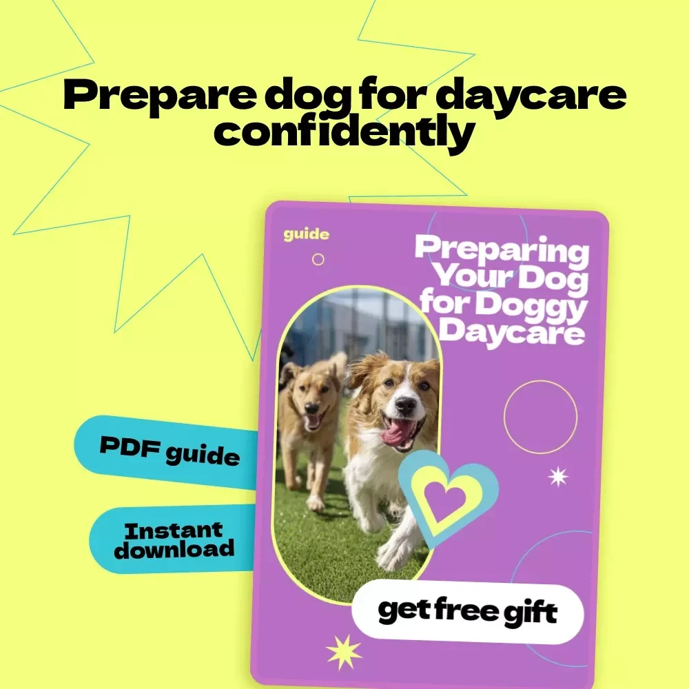 Preparing Your Dog for Doggy Daycare – Complete Guide on how to prepare dog for doggy daycare, Training Tips, Behavior Insights & First Day Success Plan