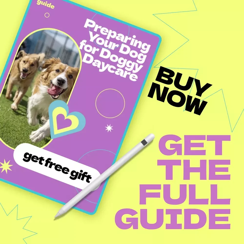 Preparing Your Dog for Doggy Daycare – Complete Guide on how to prepare dog for doggy daycare, Training Tips, Behavior Insights & First Day Success Plan