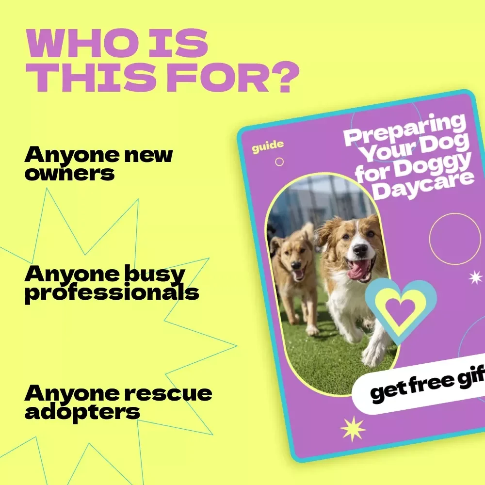 Preparing Your Dog for Doggy Daycare – Complete Guide on how to prepare dog for doggy daycare, Training Tips, Behavior Insights & First Day Success Plan