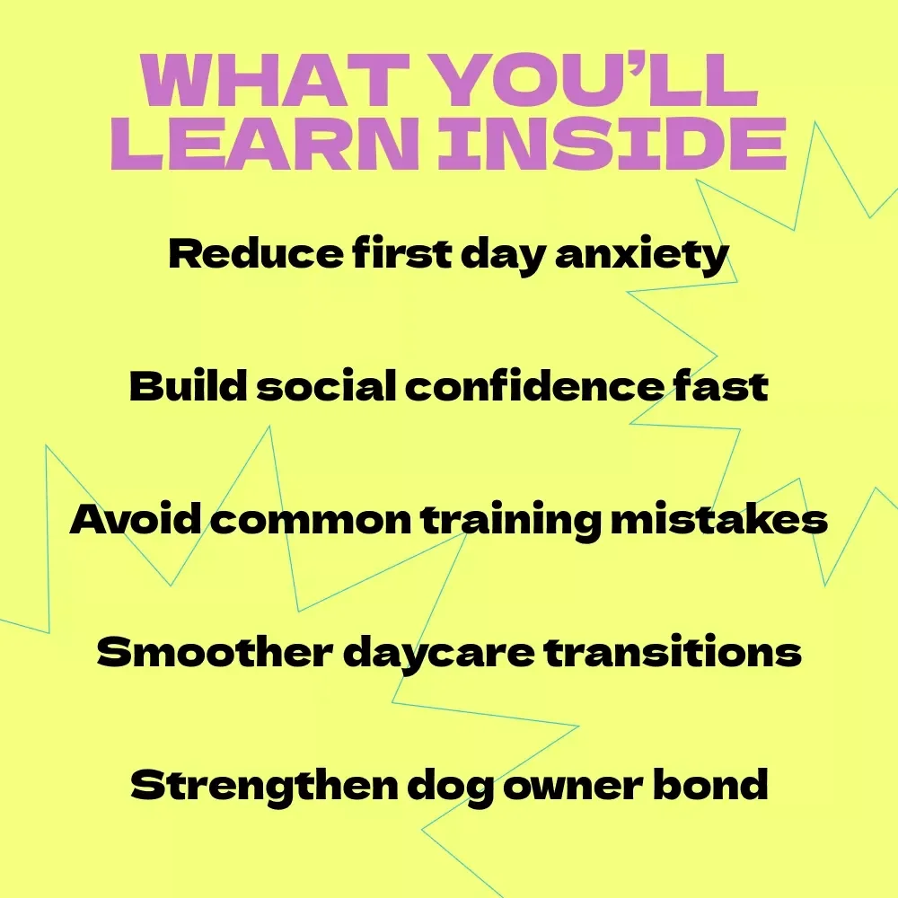 Preparing Your Dog for Doggy Daycare – Complete Guide on how to prepare dog for doggy daycare, Training Tips, Behavior Insights & First Day Success Plan