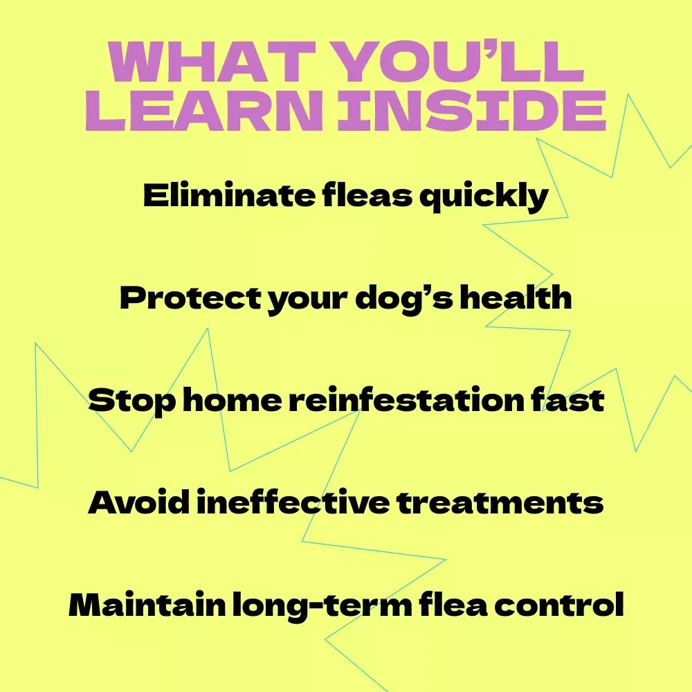 Getting Rid of Fleas on Your Dog – How to Get Rid of Fleas on Dog Fast Guide, Flea Removal eBook, Dog Care Checklist, Instant Download Pet Health Guide