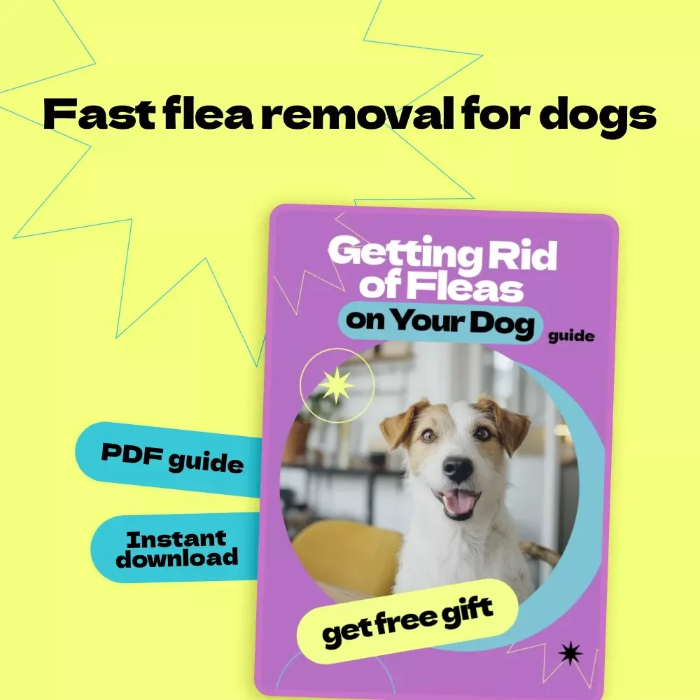 Getting Rid of Fleas on Your Dog – How to Get Rid of Fleas on Dog Fast Guide, Flea Removal eBook, Dog Care Checklist, Instant Download Pet Health Guide