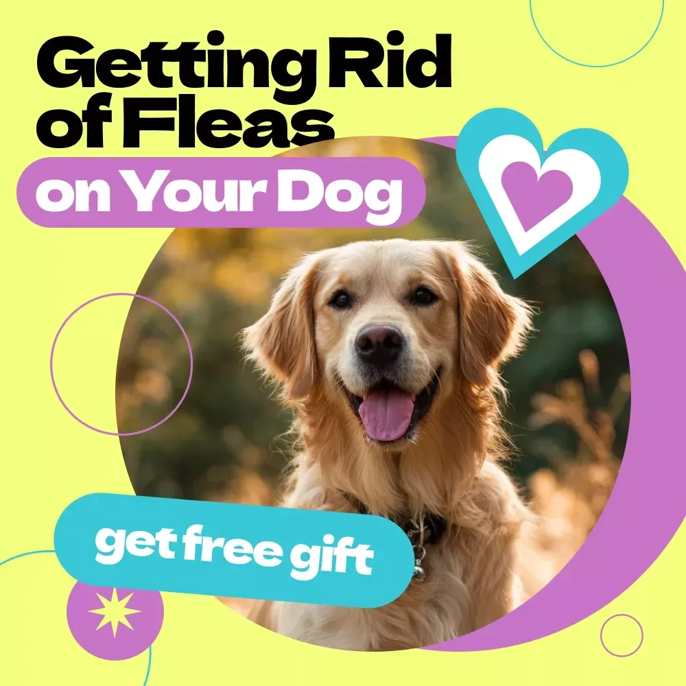 Getting Rid of Fleas on Your Dog – How to Get Rid of Fleas on Dog Fast Guide, Flea Removal eBook, Dog Care Checklist, Instant Download Pet Health Guide