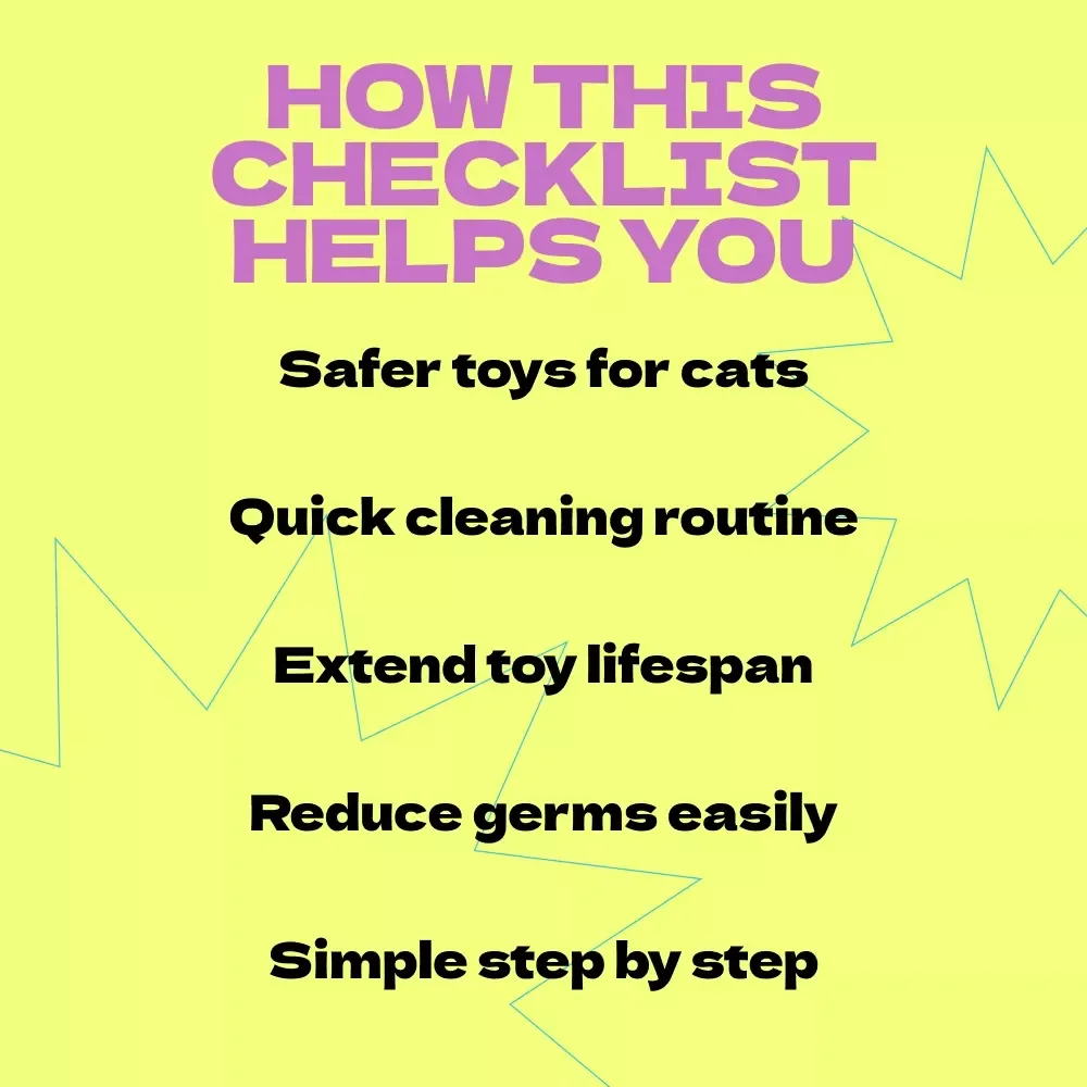 Checklist for Cleaning Cat Toys Safely – How to Clean Cat Toys Safely Guide for Pet Owners, Printable Pet Care Routine, Cat Hygiene Checklist