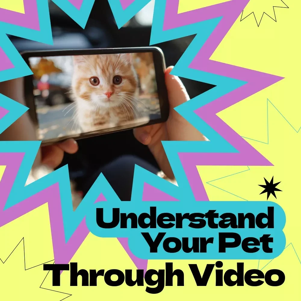 Using AI to Understand Your Pet Through Video | AI to Analyze Pet Behavior from Video eBook Guide, Pet Behavior Insights, Smart Pet Care Digital Download