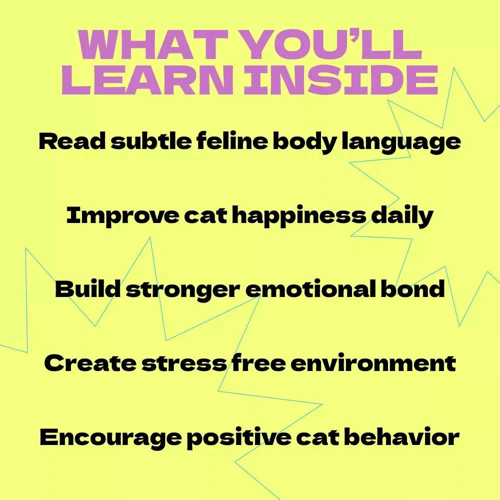 Understanding Whether Your Cat Is Happy – A Complete Guide on How to Tell If Cat Is Happy, Decode Behavior, and Create a Joyful Life