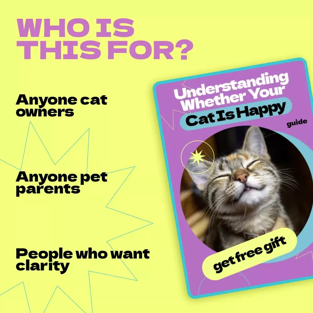 Understanding Whether Your Cat Is Happy – A Complete Guide on How to Tell If Cat Is Happy, Decode Behavior, and Create a Joyful Life