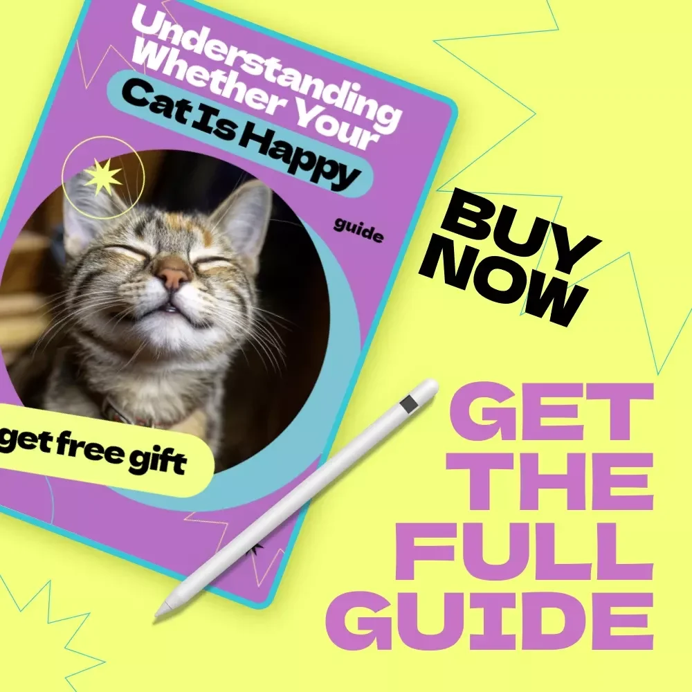 Understanding Whether Your Cat Is Happy – A Complete Guide on How to Tell If Cat Is Happy, Decode Behavior, and Create a Joyful Life
