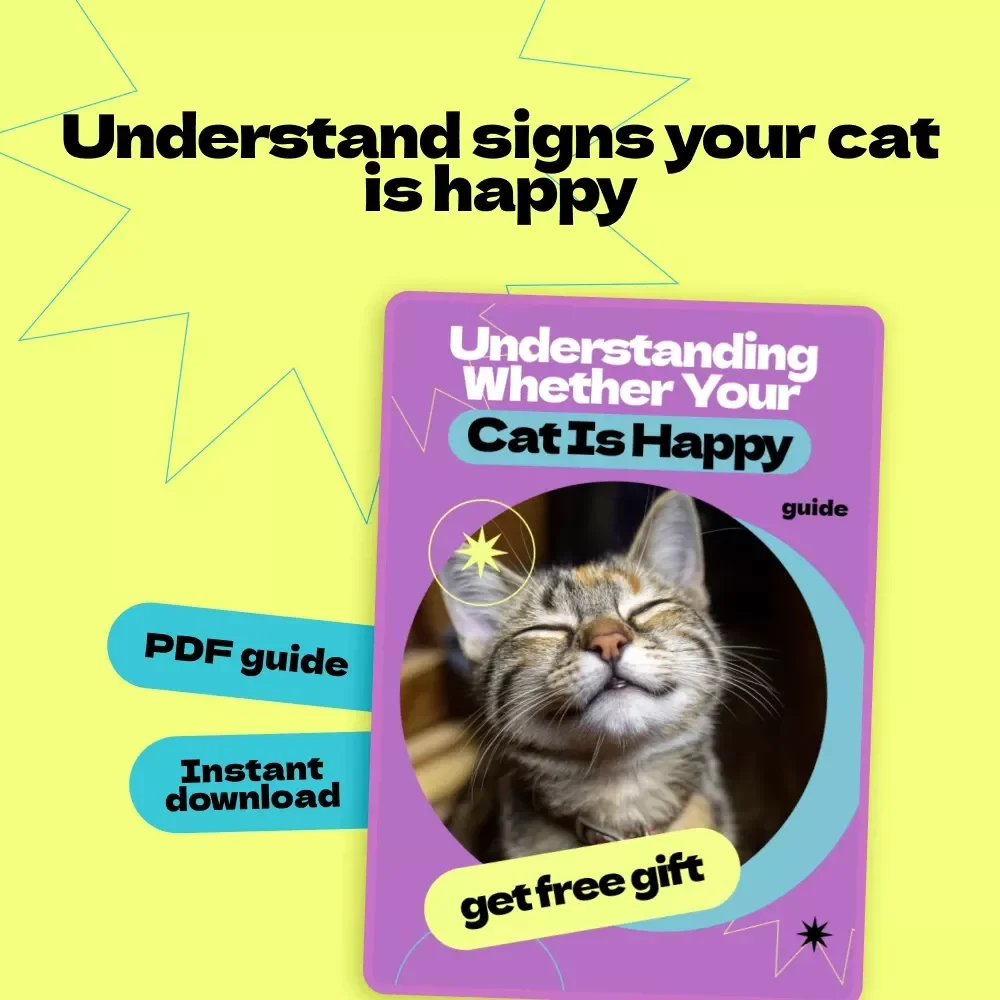 Understanding Whether Your Cat Is Happy – A Complete Guide on How to Tell If Cat Is Happy, Decode Behavior, and Create a Joyful Life