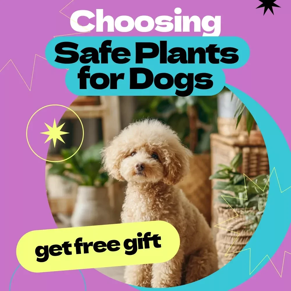 Choosing Safe Plants for Dogs – Ultimate Checklist Guide for Pet Owners | How to Choose Safe Plants for Dogs Indoors & Outdoors