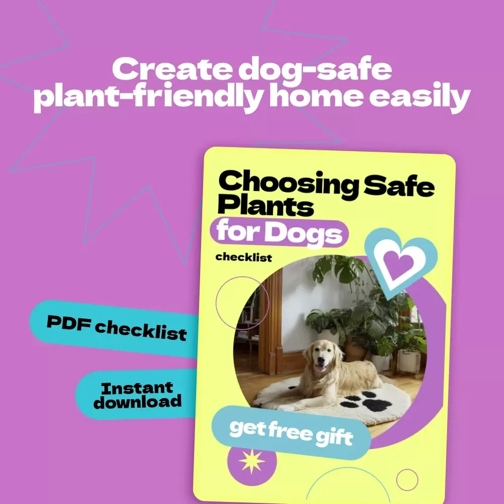 Choosing Safe Plants for Dogs – Ultimate Checklist Guide for Pet Owners | How to Choose Safe Plants for Dogs Indoors & Outdoors