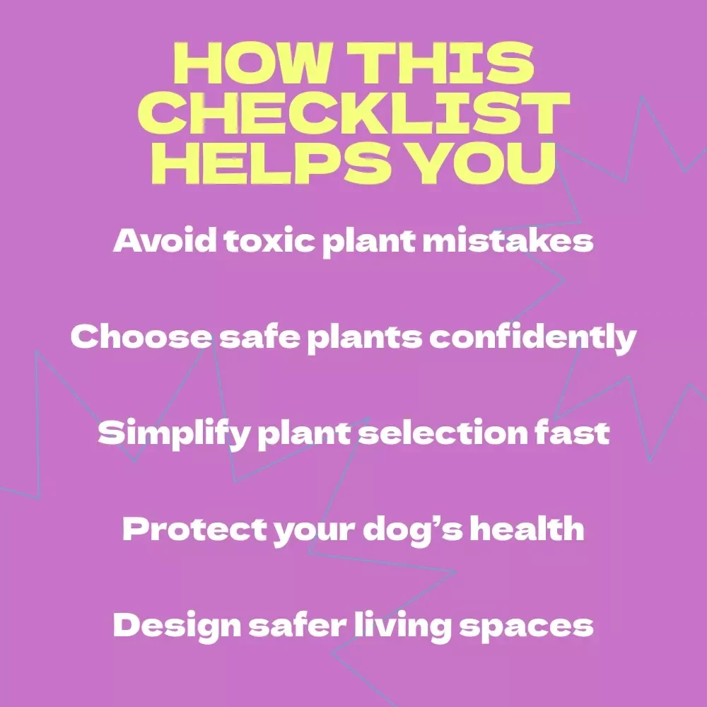 Choosing Safe Plants for Dogs – Ultimate Checklist Guide for Pet Owners | How to Choose Safe Plants for Dogs Indoors & Outdoors