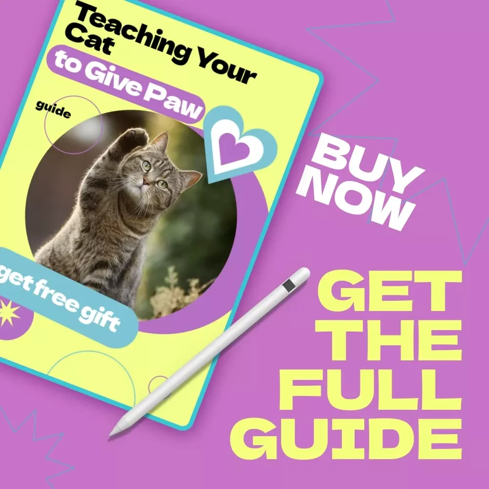 Teaching Your Cat to Give Paw – Complete Guide on how to train cat to give paw | Step-by-Step Cat Training eBook, Positive Reinforcement Tricks, Beginner-Friendly Pet Training Manual