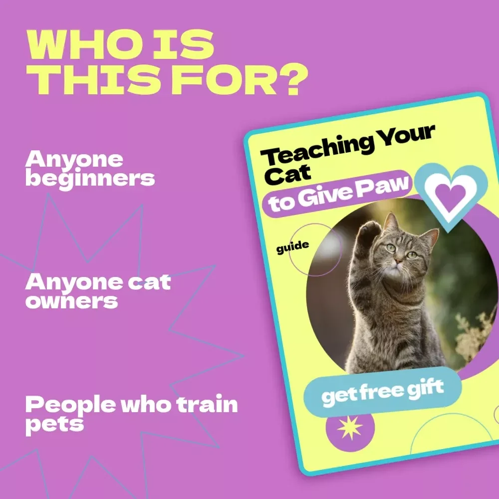 Teaching Your Cat to Give Paw – Complete Guide on how to train cat to give paw | Step-by-Step Cat Training eBook, Positive Reinforcement Tricks, Beginner-Friendly Pet Training Manual