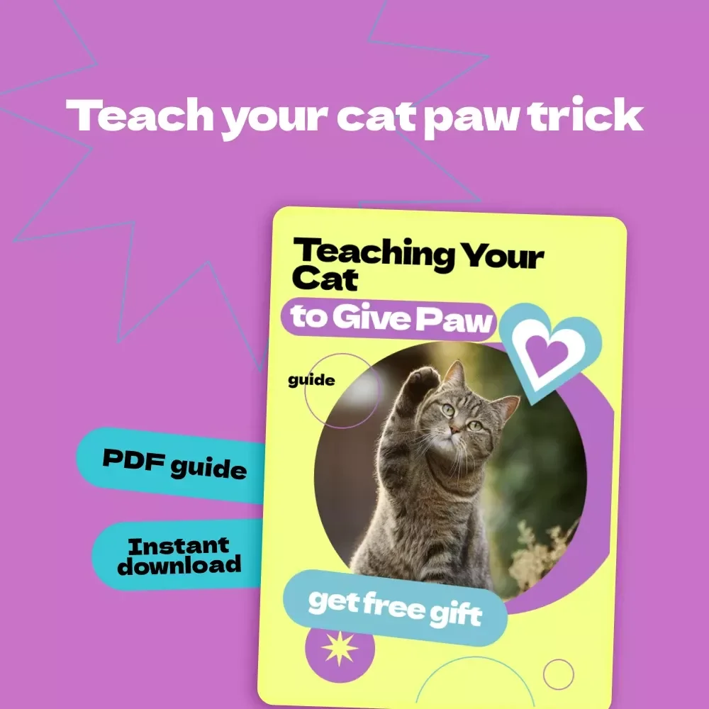 Teaching Your Cat to Give Paw – Complete Guide on how to train cat to give paw | Step-by-Step Cat Training eBook, Positive Reinforcement Tricks, Beginner-Friendly Pet Training Manual