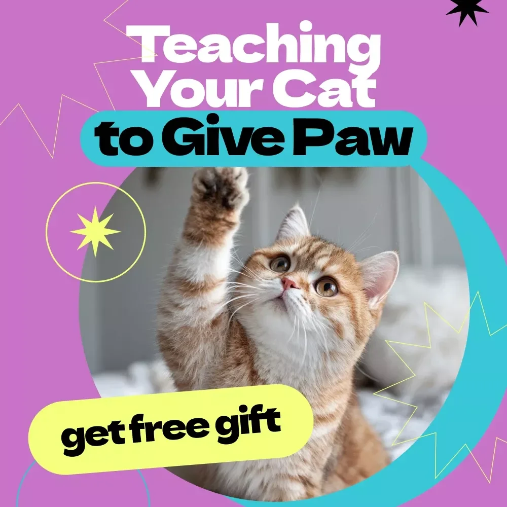 Teaching Your Cat to Give Paw – Complete Guide on how to train cat to give paw | Step-by-Step Cat Training eBook, Positive Reinforcement Tricks, Beginner-Friendly Pet Training Manual