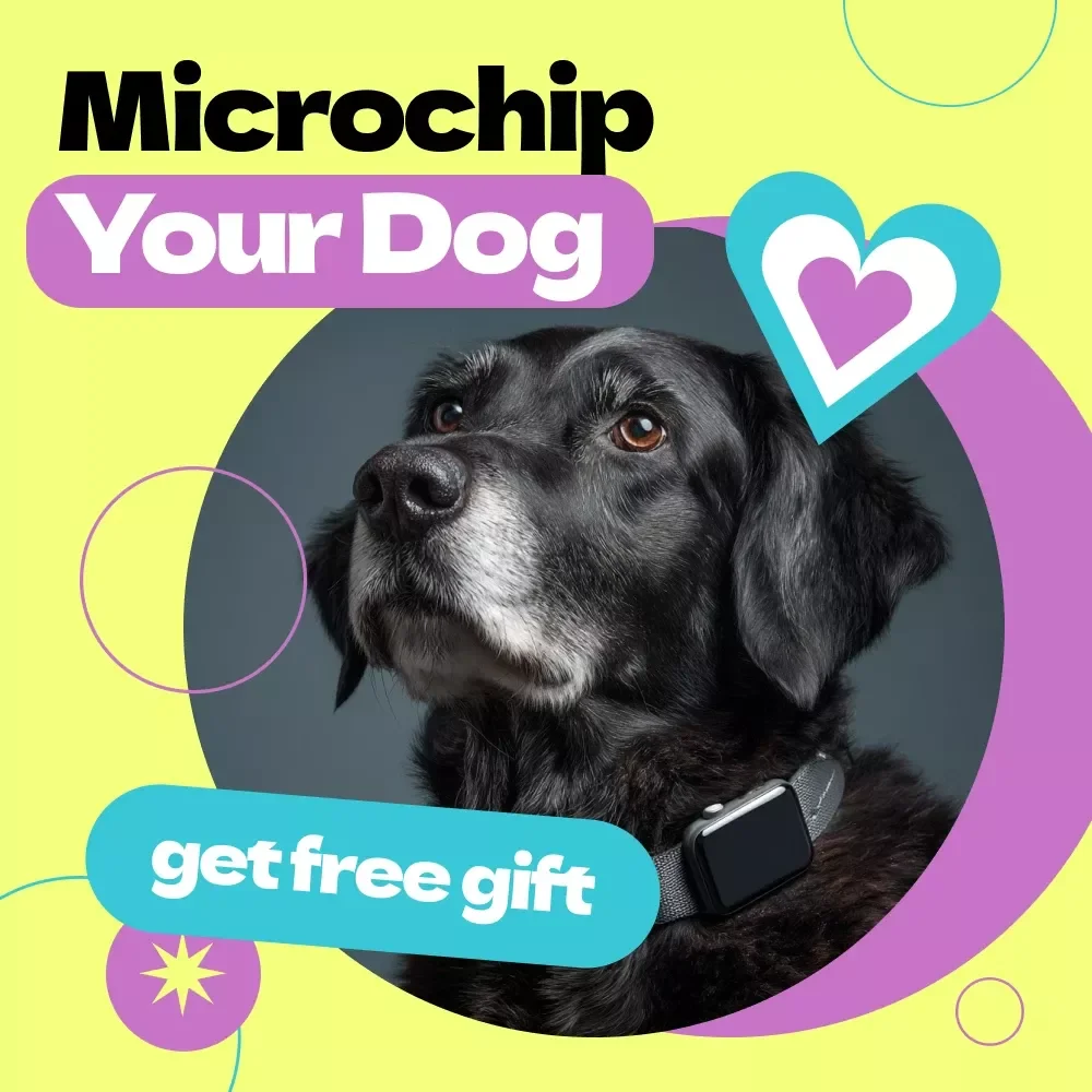 Checklist to Microchip Your Dog | How to Microchip a Dog Step-by-Step Printable Guide for Pet Owners | Dog Safety & ID Registration Checklist