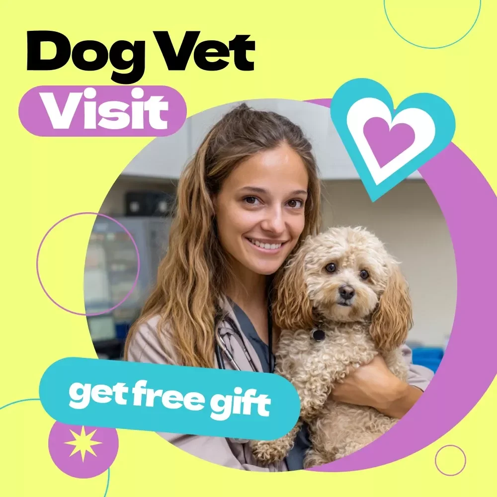 Dog Vet Visit Checklist | How Often to Take Dog to Vet Guide | Printable Pet Health Tracker, Puppy Adult Senior Care Planner, Instant Download
