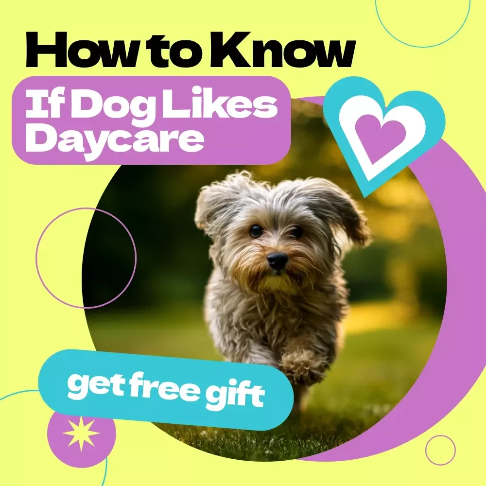 Checklist for Knowing If Your Dog Actually Likes Daycare – How to Know If Dog Likes Daycare Printable Guide, Dog Behavior Tracker, Pet Care Download