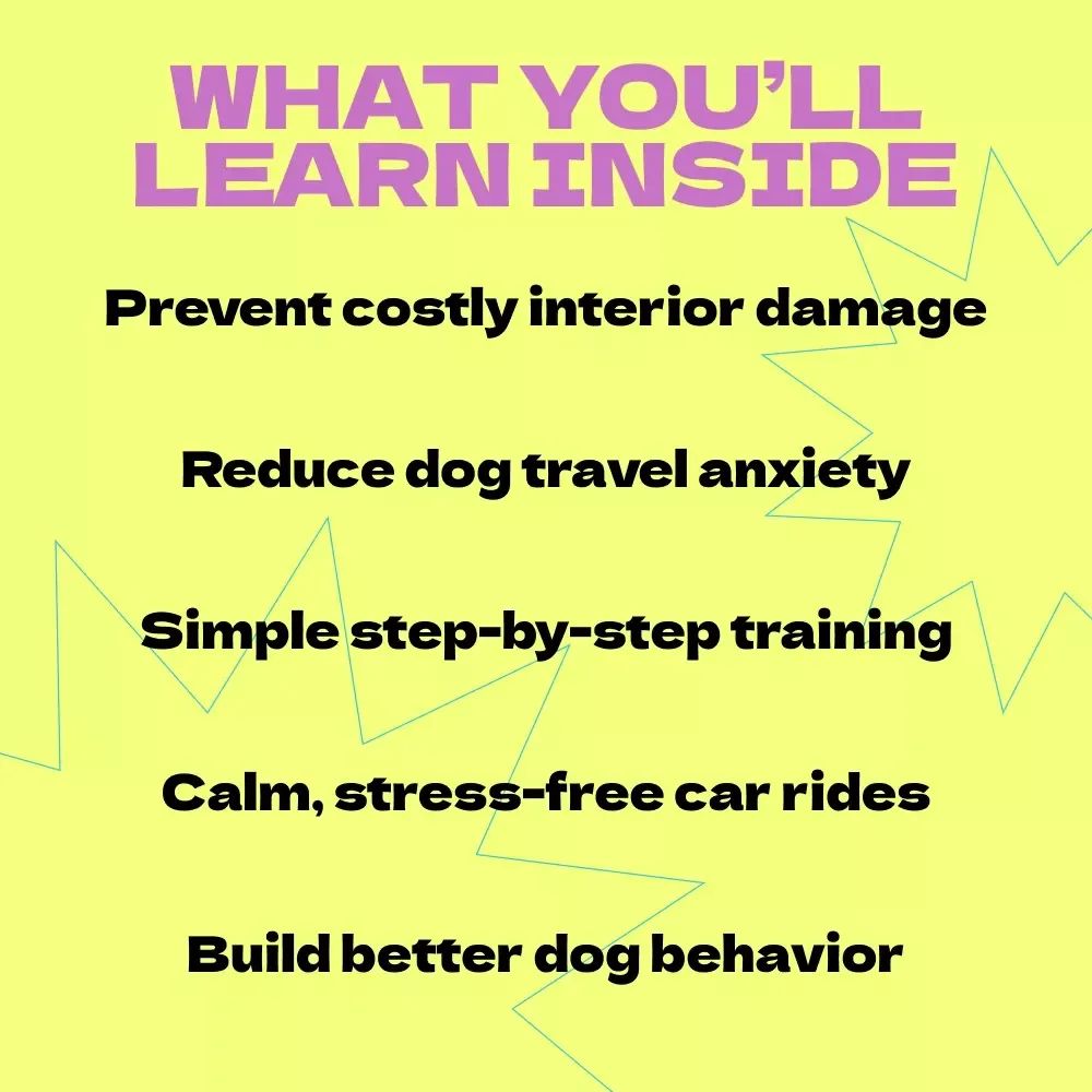 How to Stop Your Dog from Destroying Your Car Interior – Proven Guide on how to stop dog from destroying car interior, Calm Travel Training & Stress-Free Rides