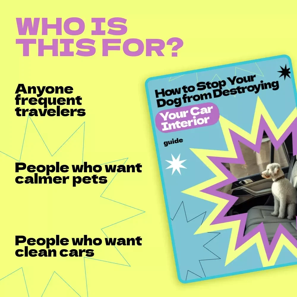 How to Stop Your Dog from Destroying Your Car Interior – Proven Guide on how to stop dog from destroying car interior, Calm Travel Training & Stress-Free Rides