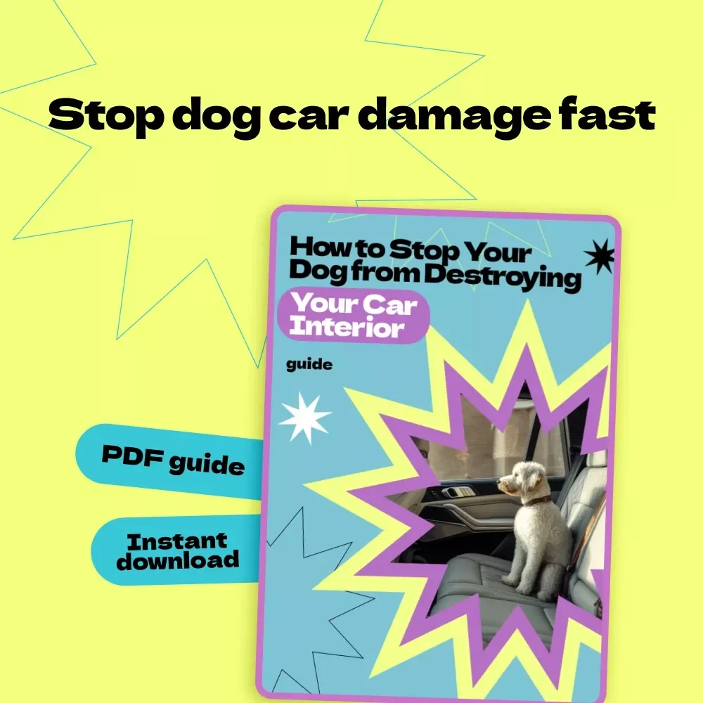 How to Stop Your Dog from Destroying Your Car Interior – Proven Guide on how to stop dog from destroying car interior, Calm Travel Training & Stress-Free Rides