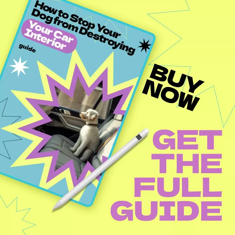 How to Stop Your Dog from Destroying Your Car Interior – Proven Guide on how to stop dog from destroying car interior, Calm Travel Training & Stress-Free Rides