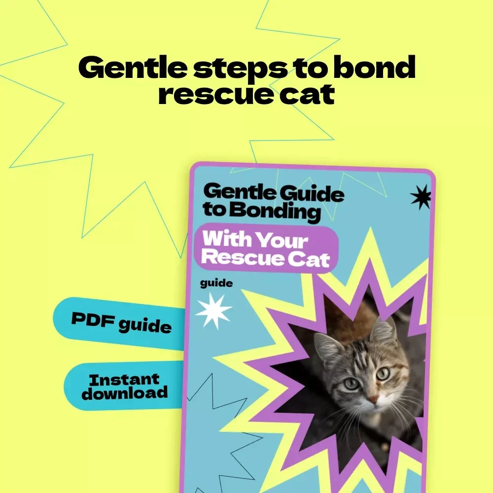 Gentle Guide to Bonding With Your Rescue Cat | How to Bond With Rescue Cat eBook, New Cat Owner Guide, Trust Building Checklist, Cat Behavior Help