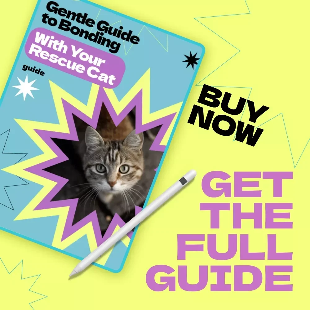 Gentle Guide to Bonding With Your Rescue Cat | How to Bond With Rescue Cat eBook, New Cat Owner Guide, Trust Building Checklist, Cat Behavior Help